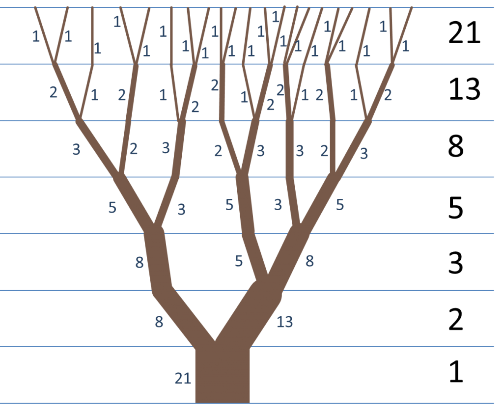 Fibonacci kuralı ağaçlarda